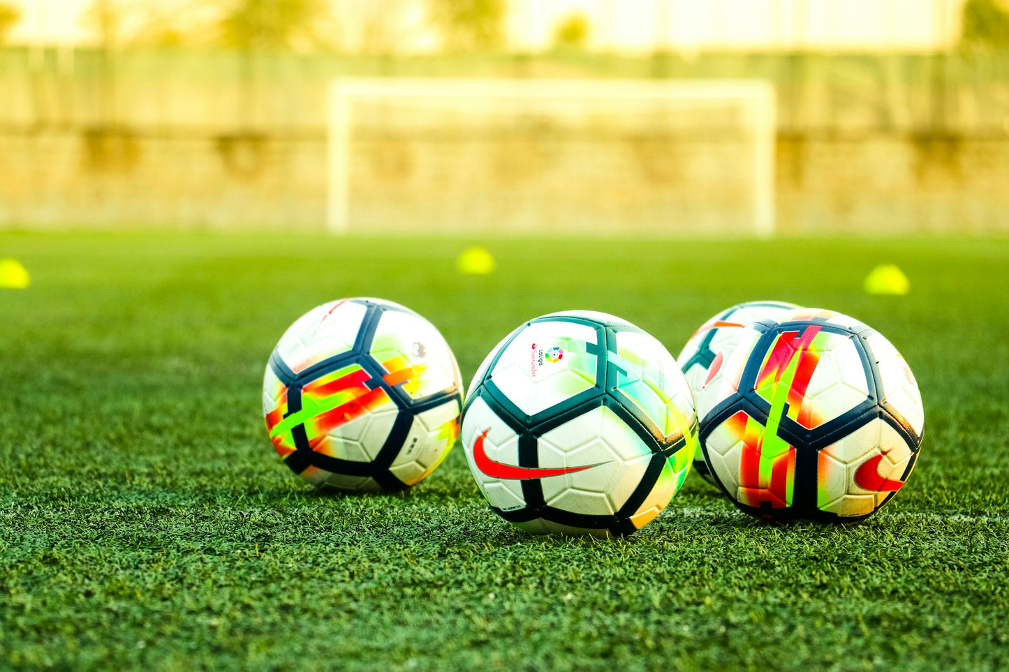 Tuesday Training Session